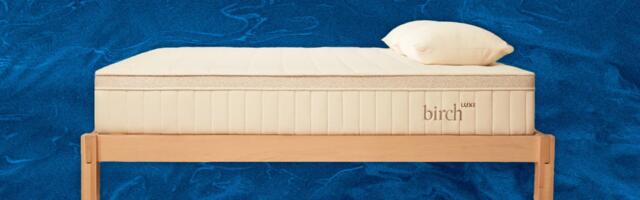 Best Organic Mattress & Bedding of 2024: Nontoxic, Natural Sleep