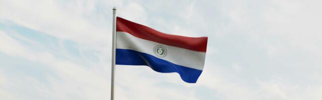 Paraguay Is Only Waiting for Crypto Law: El Salvador’s Top Crypto Regulator