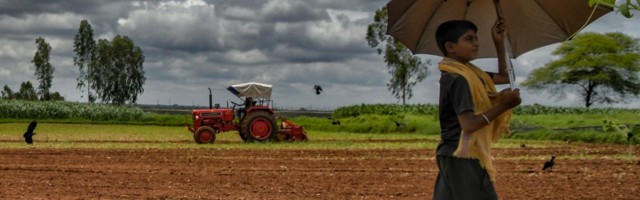 Global UN agritech challenge seeks solutions for small farmers