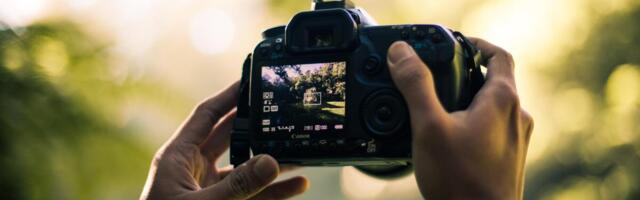 The best DSLR cameras for photography beginners The best DSLR cameras for photography beginners