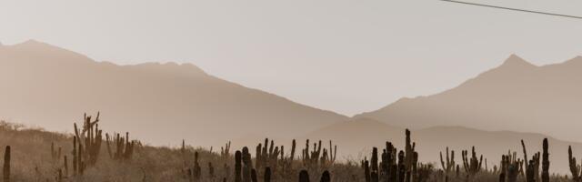 The Atacama Desert in Chile contains weather stations that have never recorded a single drop of rain in more than a century of measurement, yet a thin fog called camanchaca rolls in from the Pacific often enough that lichens and cacti pull moisture straight from the air