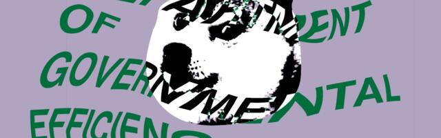 DOGE can keep accessing government data for now, judge rules
