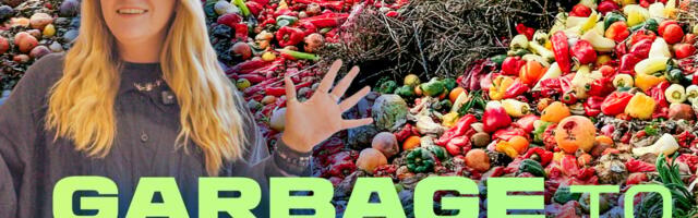 These future foods could help the planet, if we can stop being weird about them