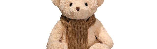 Sales of a teddy bear were suspended because of its sexually explicit AI