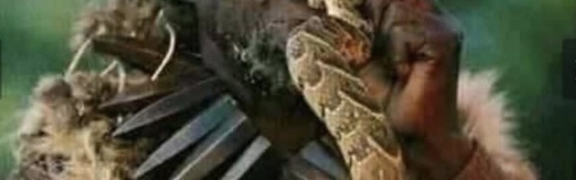 bästa andliga psykiska healer