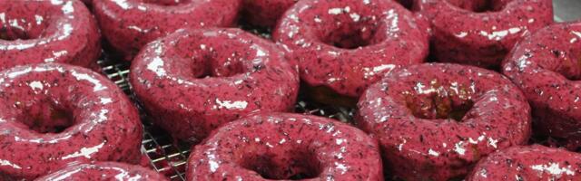 I tried popular flavors at one of the most famous doughnut shops in Maine. I'd travel miles just for the blueberry glazed.