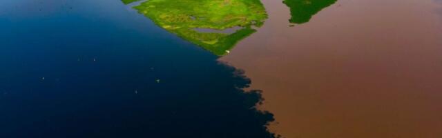 Earth’s Largest Land-Based Carbon Sink Has Sprung a Disturbing Leak