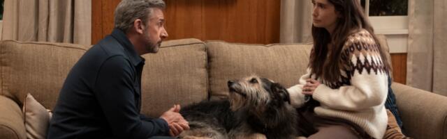 I watched HBO Max's Rooster — and Steve Carell's character rules the roost in another great comedy series