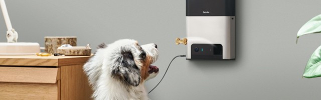Petcube is building a smartphone for your pet