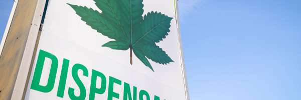 Leafly and Jane partner to build a better online cannabis shopping experience