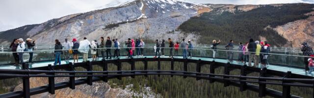 Viator Sees Commissions Boost from Upgraded Pay-for-Visibility Tool