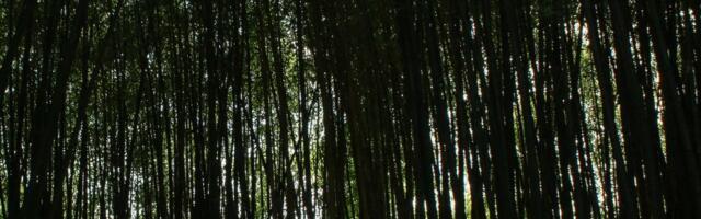 Chinese hacker group StormBamboo successfully hijacked an ISP's automatic software updates with backdoor malware and bad Chrome extensions to breach a downstream target