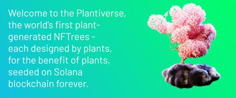 Plantiverse – Plants in the Metaverse