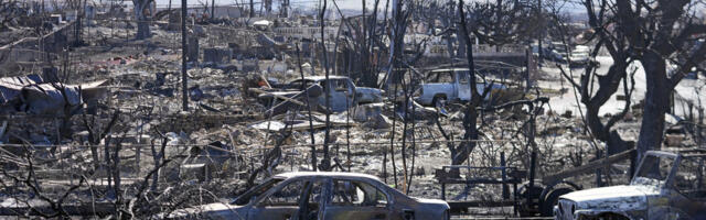 Could California’s powerline strategy have saved Maui?