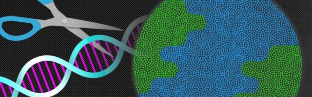 Scribe Therapeutics launches a platform for engineering CRISPR-based therapeutics