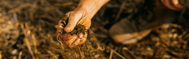 Soil Carbon Credits: Farms Are Selling Emissions Reductions to Travel Companies