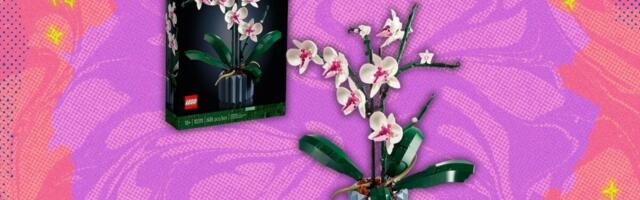 The Lego Botanicals Orchid is one of our favorite sets, and its currently over $10 off at Amazon