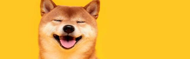 Dogecoin zooms 10%, breaking away from bitcoin as open interest hits a yearly peak