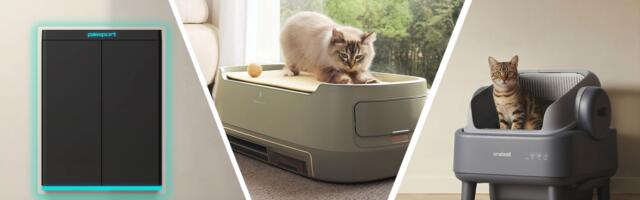 I delved into the wild world of pet tech to find the 9 best cat-care gadgets — including a feeder with facial recognition, and a self-cleaning litter box with a sealed 'poop dungeon'