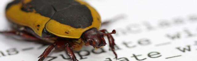 AI found an Ethereum bug that could take validators offline, but humans had to prove it