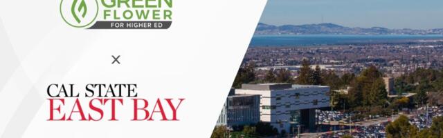 ‘It’s competitive’: East Bay school offers first cannabis education courses in Cal State University system
