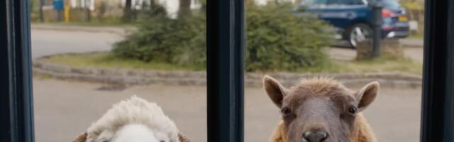 The Sheep Detectives trailer is shear audacity and Im all in