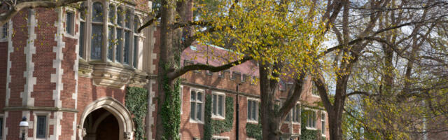 AI invades Princeton, where 30% of students cheat—but peers won't snitch