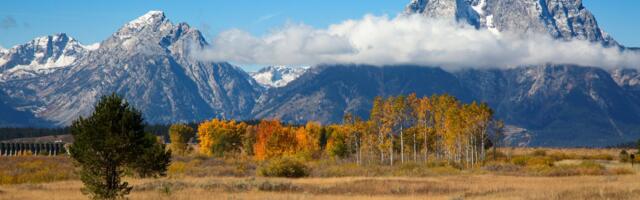 Wyoming Taps Inca Digital to Secure First State-Issued Stablecoin Ahead of July Launch