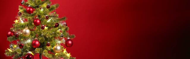 Over A Third of Irish Public Planning on Buying Less Christmas Gifts in Eco-Conscious Shift