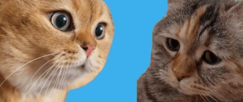 Полный анализ целевой аудитории через нейросети за 2 часа