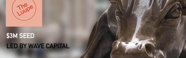 The Luupe Raises $3M For its Marketplace That Lets Brands Find Diverse Photographers