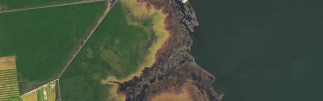 NASA Satellite Captures Haunting Growth of ‘Ghost Forests’ in North Carolina