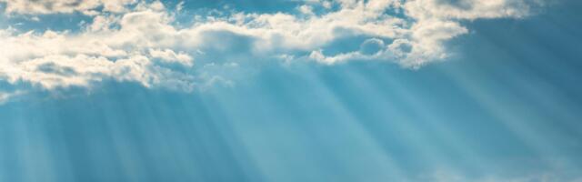 How Mindfulness Can Transform Your Leadership – From the Root Up