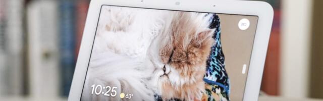 Gemini Just Replaced Google Assistant on Your Home and Nest Devices