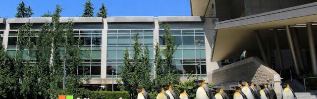 Zorin OS и эффект Windows 10: почему миграция на Linux вдруг стала массовой