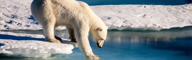 AI tool predicts Arctic sea ice loss caused by climate change