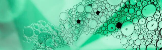 Numab Therapeutics raises $55M for antibody-based immunotherapies