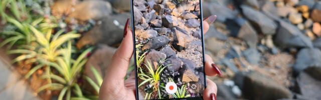Samsung’s latest phone update removes video filters, but here’s a workaround