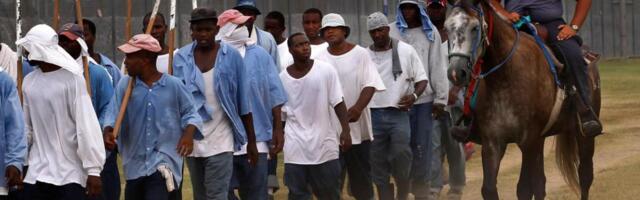 From Walmart to Whole Foods, US prisoners are part of a hidden workforce linked to hundreds of popular food brands