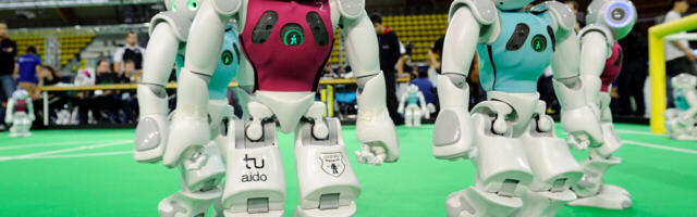 Bananas, champagne, and robots: Why automation still needs humans