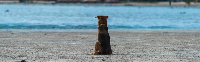 Мы там, где наше внимание. Часть #02