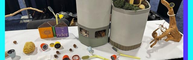 This Smart Bird Feeder Camera Can Now Detect Bees, Butterflies, and Blossoming Flowers