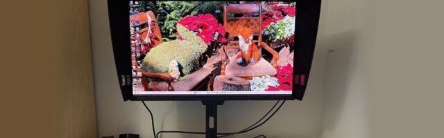Asus ProArt PA27USD 27-inch OLED review: Precision color with high-speed gaming prowess
