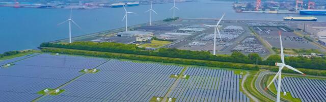 How can companies ensure they buy the right carbon credits?