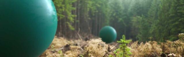 S|W: The SaaS Weekly – Introhive cuts staff, Contentsquare goes mammoth