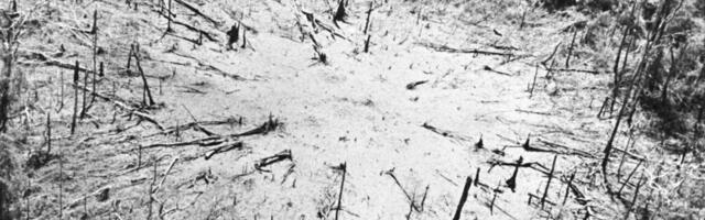 50 years later, Vietnam’s environment still bears the scars of war