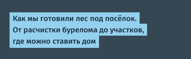 Как мы готовили лес под посёлок. От расчистки бурелома до участков, где можно ставить дом