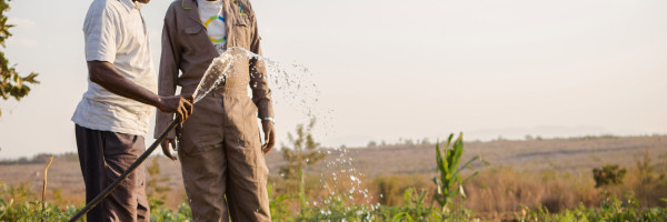 SunCulture wants to turn Africa into the world’s next bread basket, one solar water pump at a time