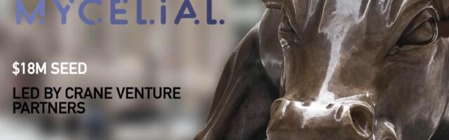 Mycelial Raises $3.8M for its Edge Native Platform to Make Computing Seamless in a World of Distributed Applications
