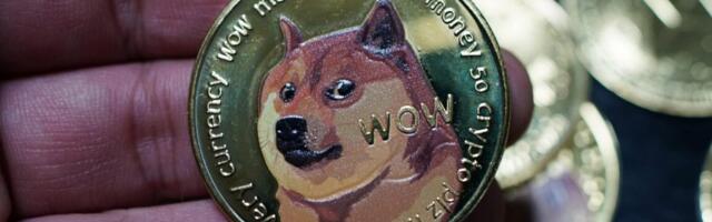 DOGE could help Musk firms avoid $2.3B in government penalties, Democrats say